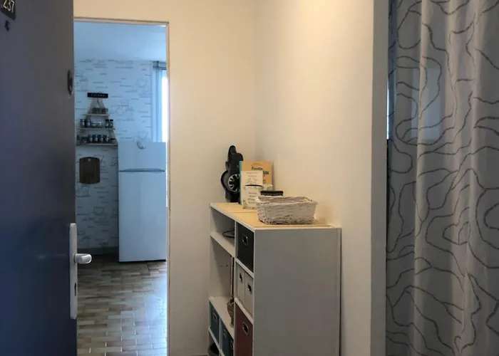 Sur île Des Pêcheurs * Agde