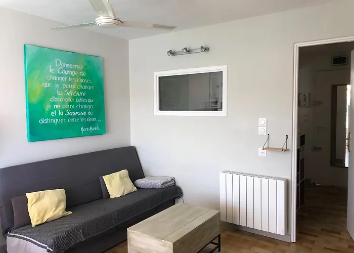 Appartement Sur île Des Pêcheurs *