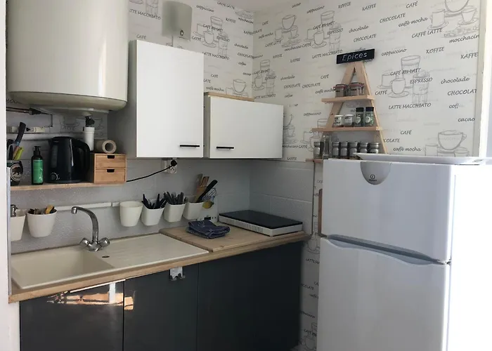 Ile Des Pecheurs Vue Mer *